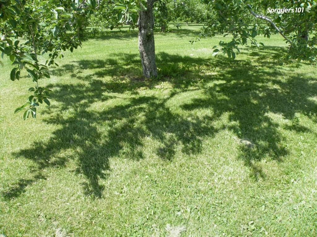 An orchardist taught me this trick: If you want to know if spray will penetrate a canopy, you should be able to see sunlight through the shadow at high noon.
