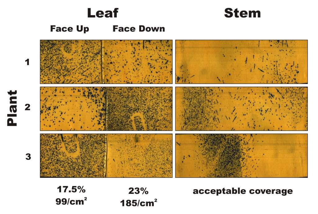 Figure 2 - Water-sensitive papers from three plants sprayed in Condition 2. Percent coverage and droplet density are calculated for the leaves, and a visual inspection is made of the stems.
