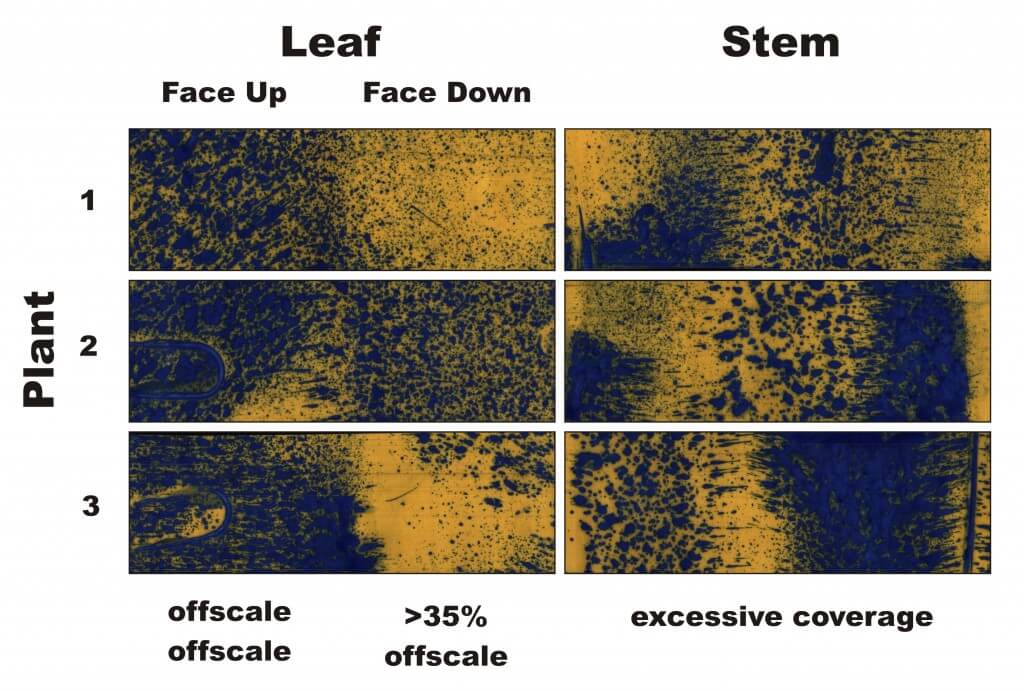 Figure 3 - Water-sensitive papers from three plants sprayed in Condition 3. Percent coverage and droplet density are calculated for the leaves, and a visual inspection is made of the stems.