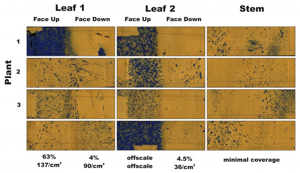 Figure 4 - Water-sensitive papers from three plants sprayed in Condition 3, ~5 weeks later. Percent coverage and droplet density are calculated for the leaves, and a visual inspection is made of the stems.