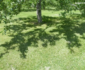 Establishing an Optimal Airblast Carrier Volume