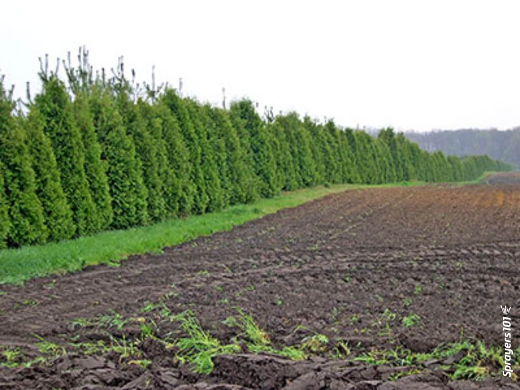 Consider planting windbreaks between your operation and sensitive downwind areas. Be aware that the windbreak should filter pesticide-laden air, not block it completely (~50 % porosity). Also be aware that there are potential impacts to nearby crop rows, such as creating shade as well as cool, still air conditions. Contact your local Nature Conservancy to discuss the right plants and management plan for you.
