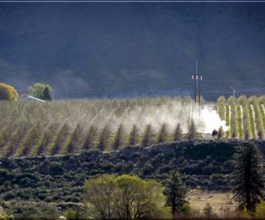 It’s not only field sprayers that drift. Photo Credit – G. Amos and D. Zamora, Washington State.