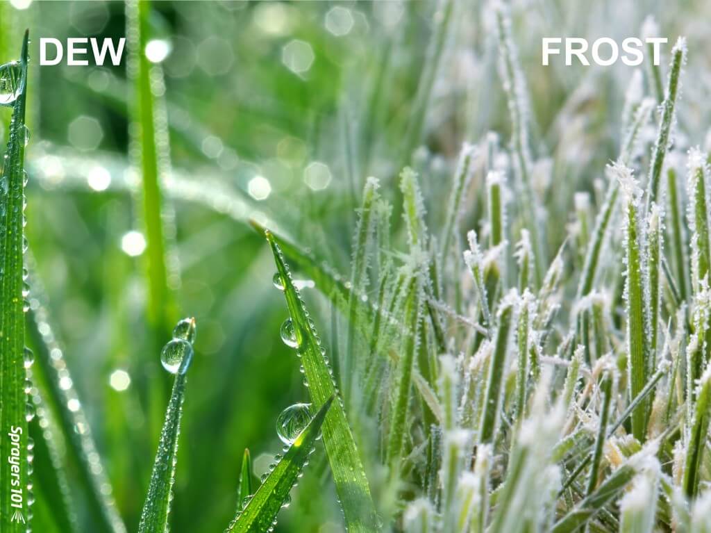If you see fog, dew or frost, you’re already in an inversion. The air has become cold enough to condense or even freeze water.