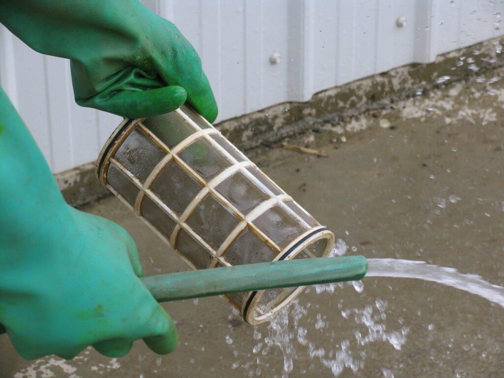 Cleaning a strainer - image courtesy of M. Lanthier.