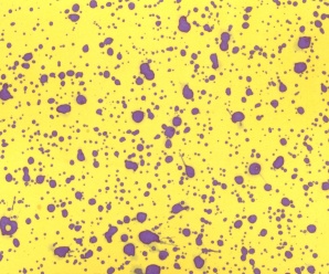 How to Assess Spray Coverage in Vegetable Crops