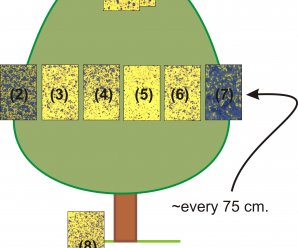 Diagnosing Airblast Coverage
