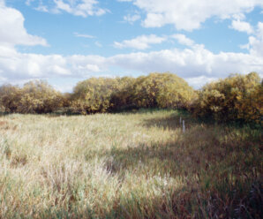 Riparian vegetation or low-drift nozzles for water protection?