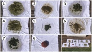 Photo inspiration: Evaluating Methods For Controlling Algae In Carrier Water Storage Tanks Photo Inspiration