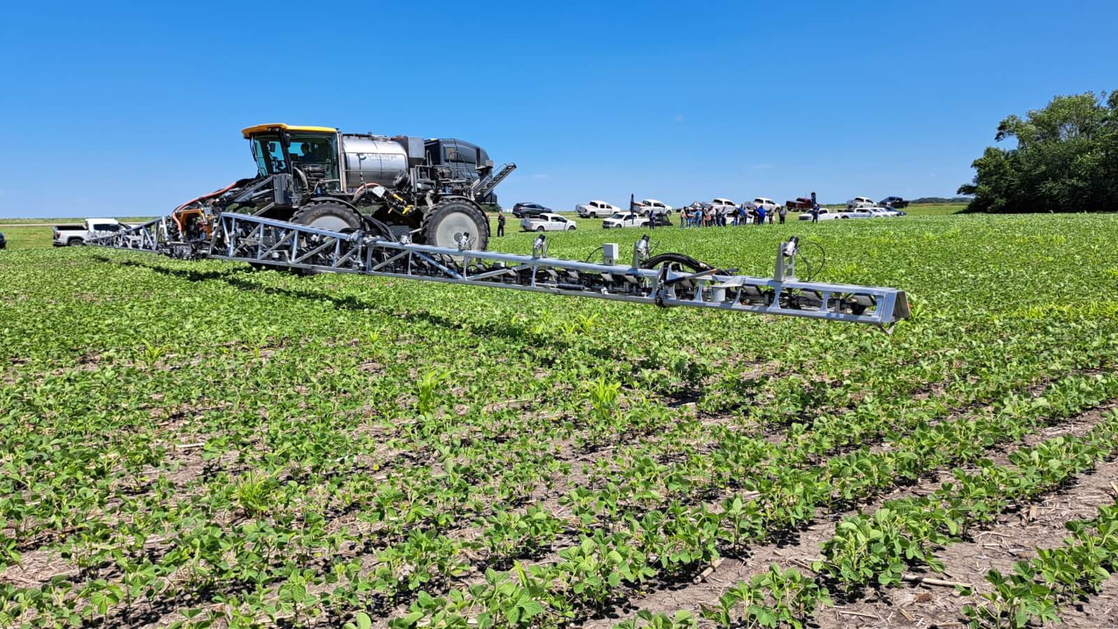 Greeneye makes impressive debut