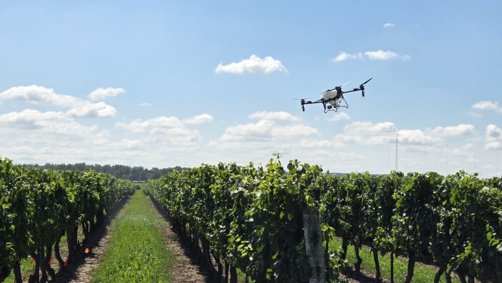 Drone Spraying Productivity – Why Tendering Matters
